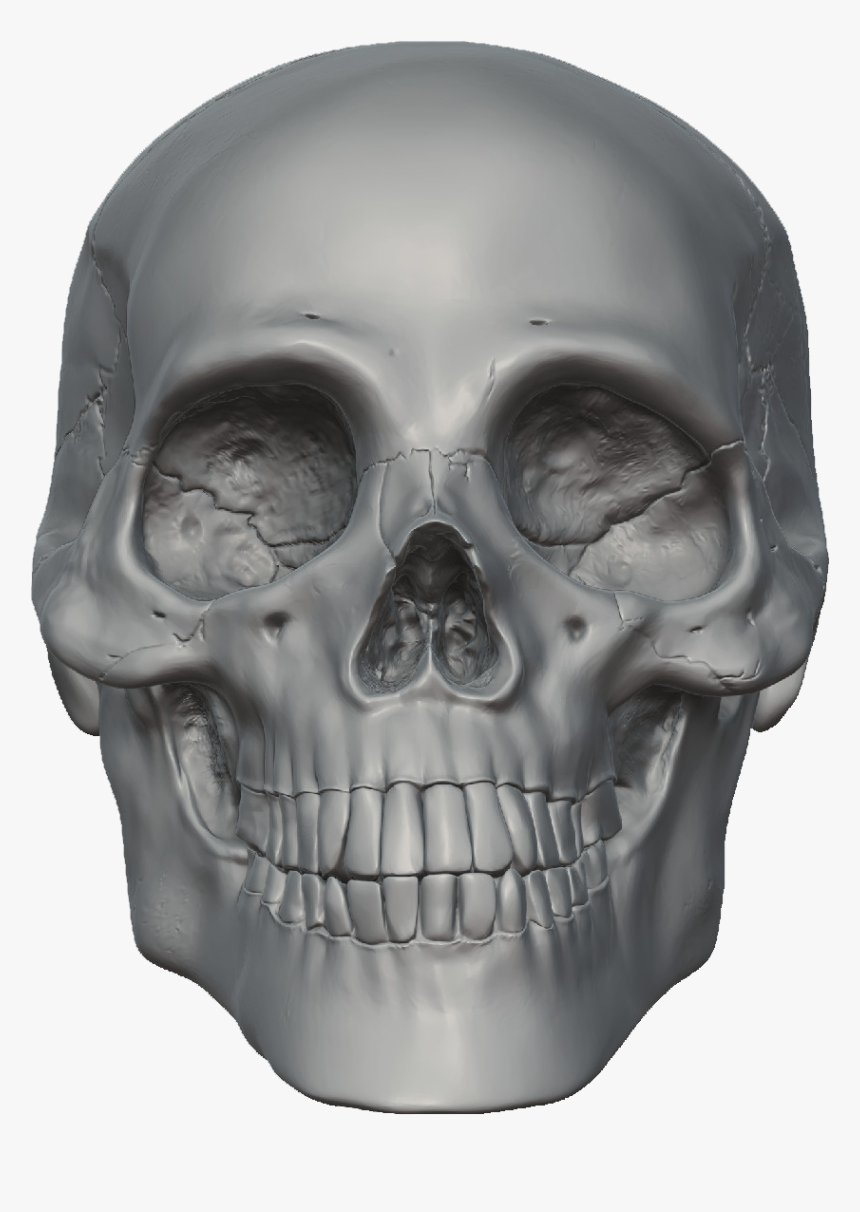 Detail Transparent Skeleton Head Nomer 20