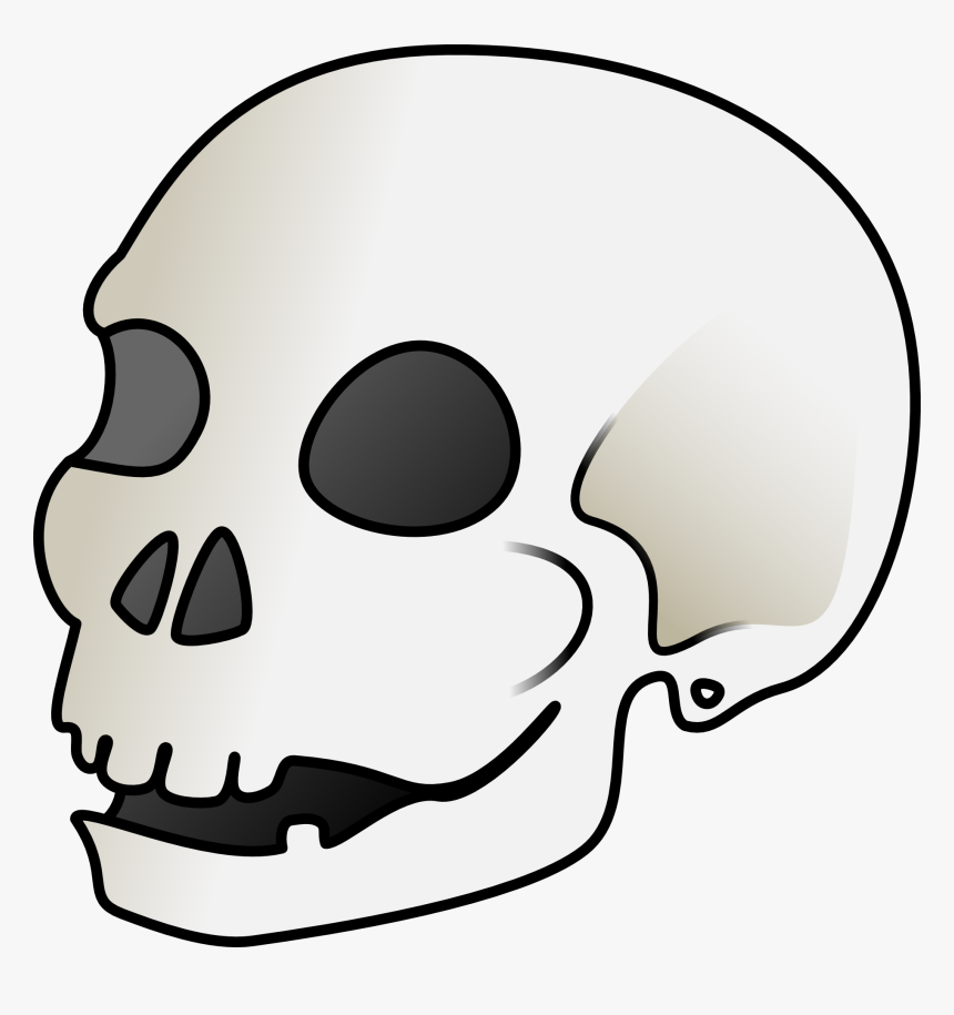 Detail Transparent Skeleton Head Nomer 26