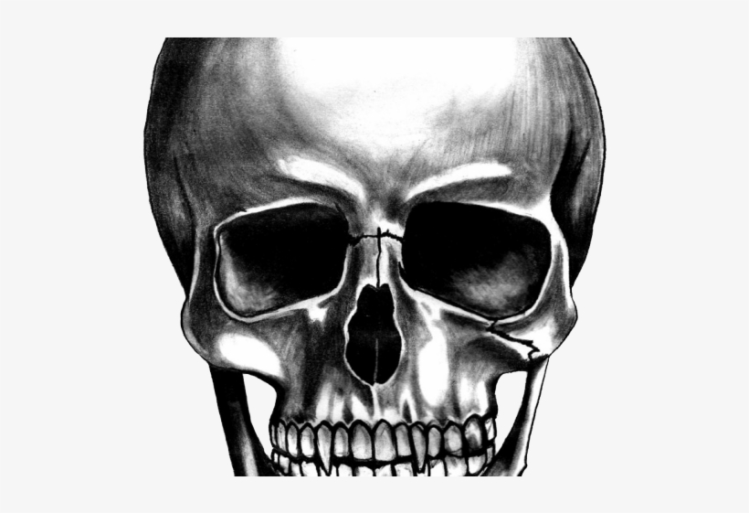 Detail Transparent Skeleton Head Nomer 30