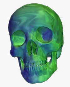 Detail Transparent Skeleton Head Nomer 32