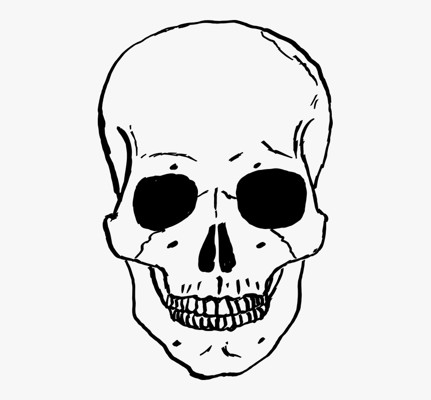 Detail Transparent Skeleton Head Nomer 3