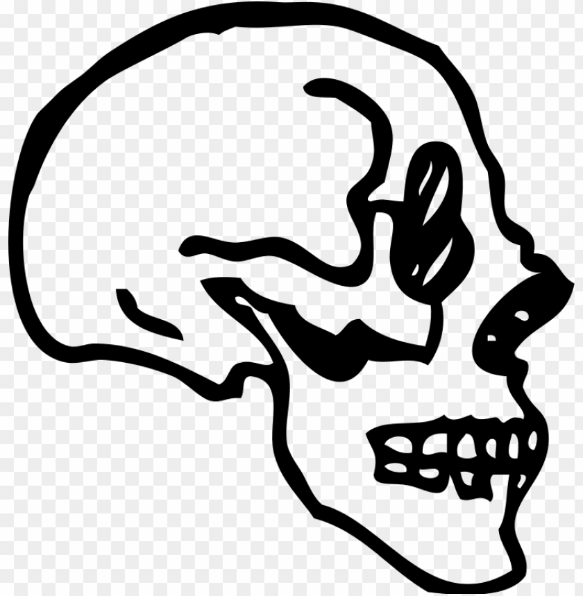 Detail Transparent Skeleton Head Nomer 44