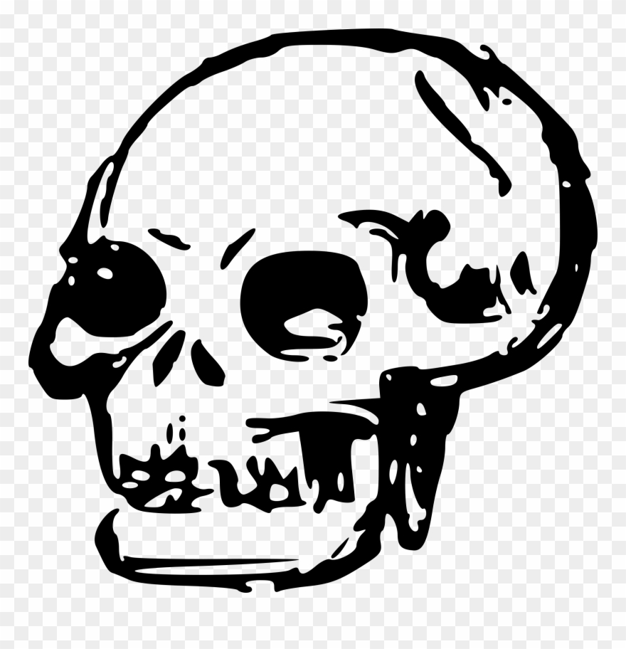 Detail Transparent Skeleton Head Nomer 46