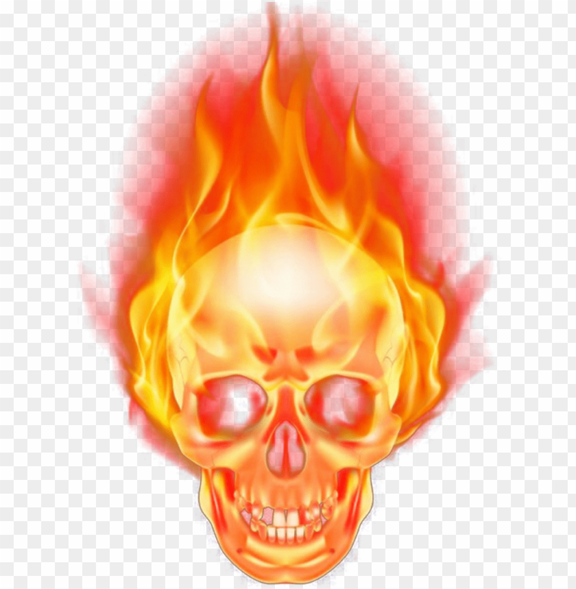 Detail Transparent Skeleton Head Nomer 47