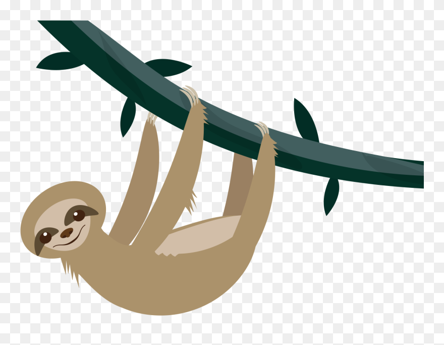 Detail Transparent Sloth Nomer 19