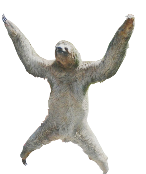 Detail Transparent Sloth Nomer 37