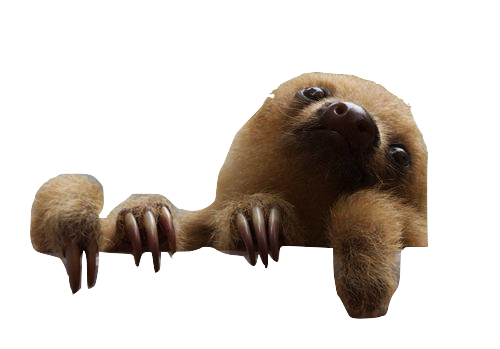 Detail Transparent Sloth Nomer 44