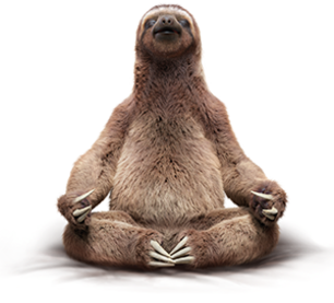 Detail Transparent Sloth Nomer 47