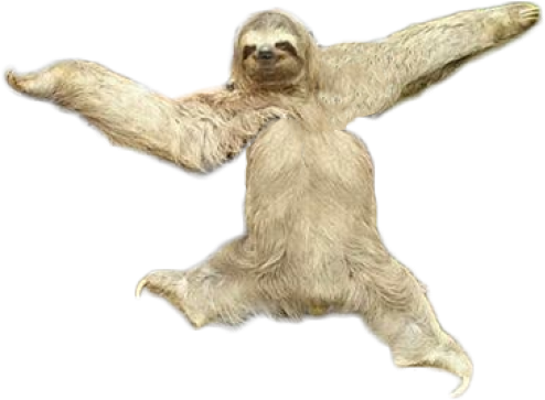 Detail Transparent Sloth Nomer 52
