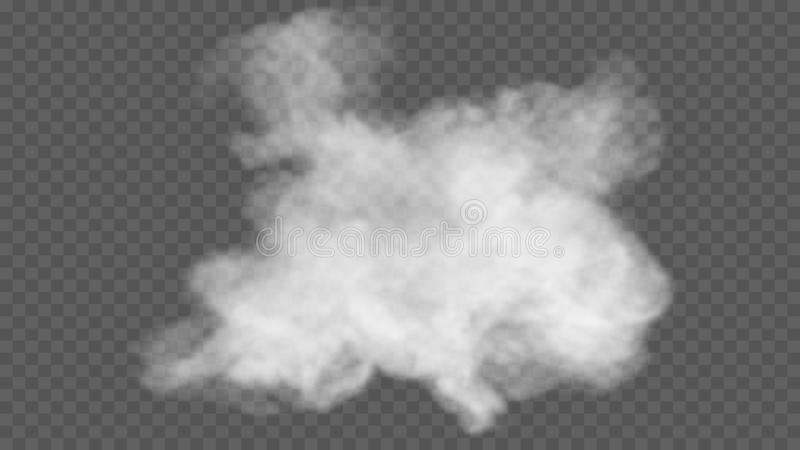 Detail Transparent Smoke Nomer 12