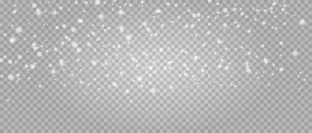 Detail Transparent Snow Png Nomer 33