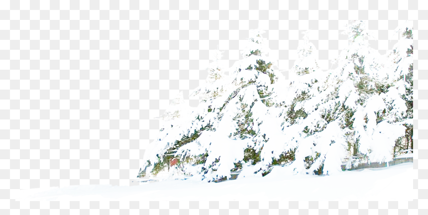 Detail Transparent Snow Png Nomer 40