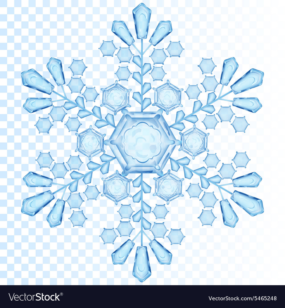 Detail Transparent Snowflake Nomer 44