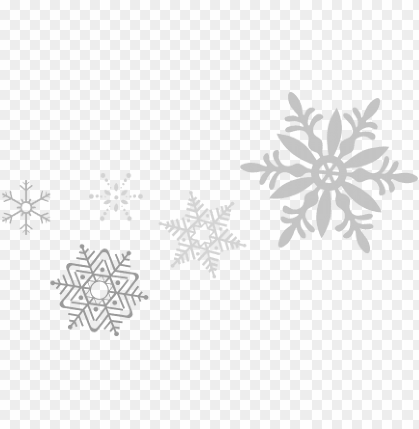Detail Transparent Snowflakes Nomer 3
