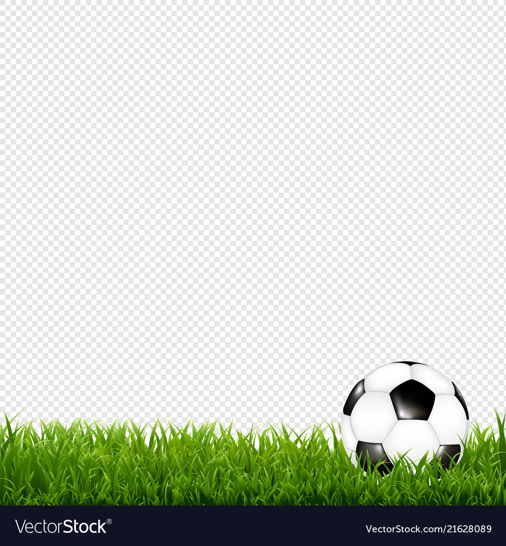 Detail Transparent Soccer Ball Image Nomer 42