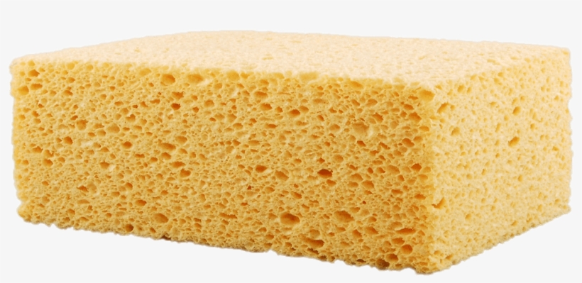 Detail Transparent Sponge Nomer 9