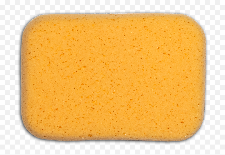 Detail Transparent Sponge Nomer 27