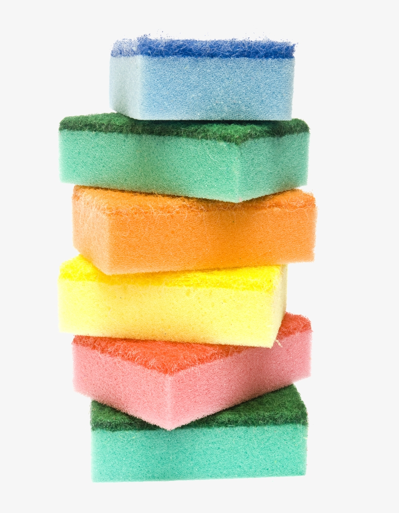 Detail Transparent Sponge Nomer 34