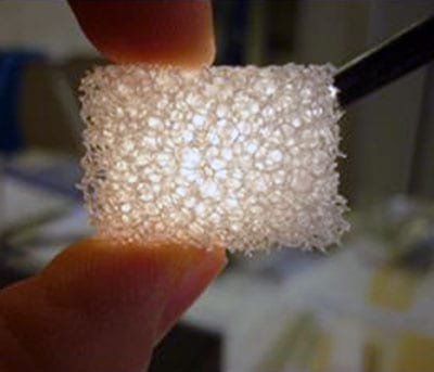 Detail Transparent Sponge Nomer 7