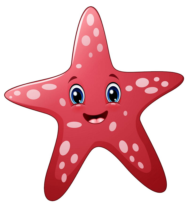 Detail Transparent Starfish Nomer 40