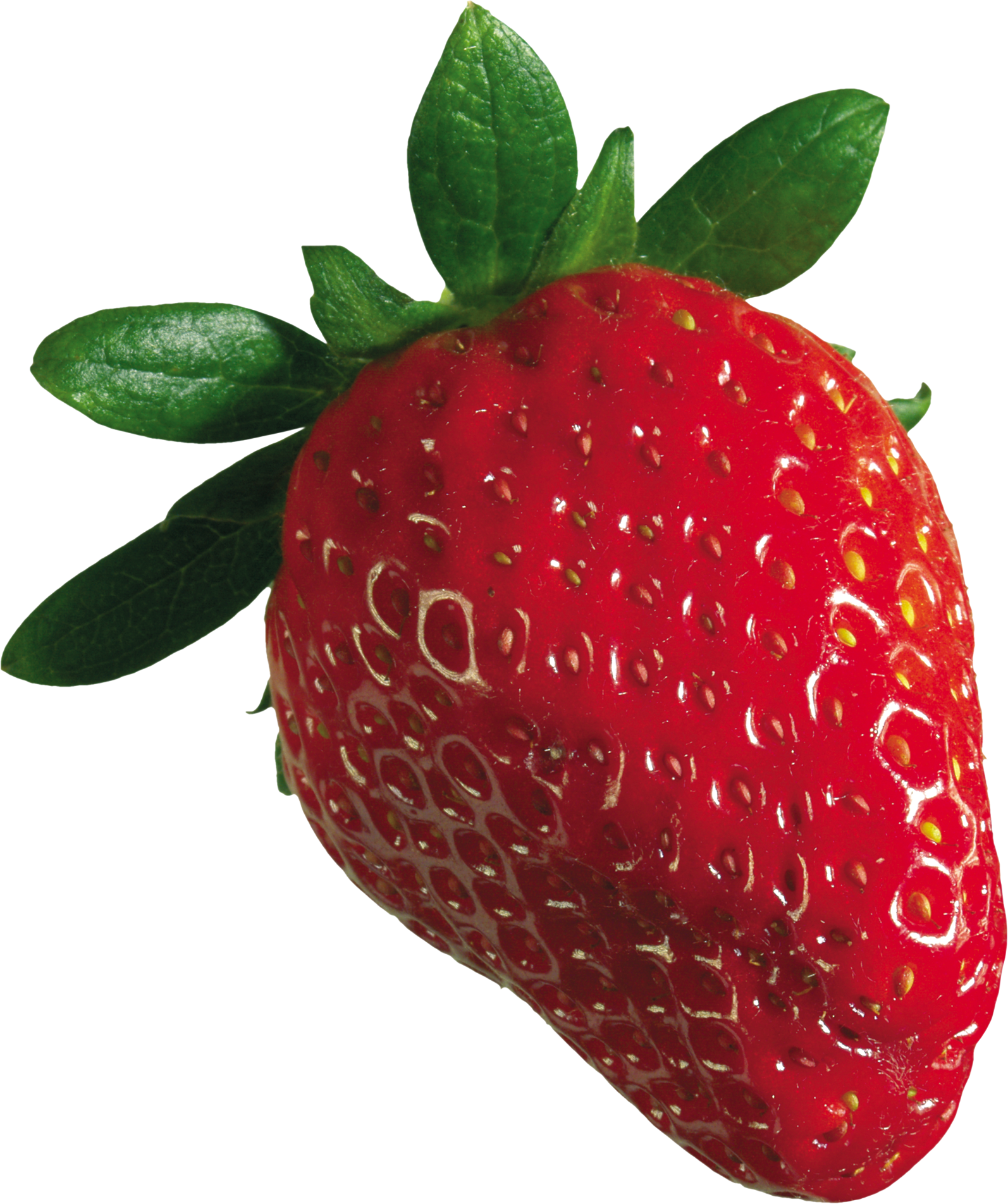 Detail Transparent Strawberry Nomer 11