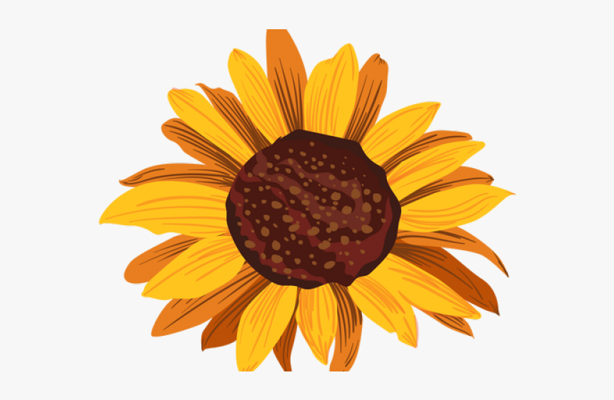 Detail Transparent Sunflower Nomer 49