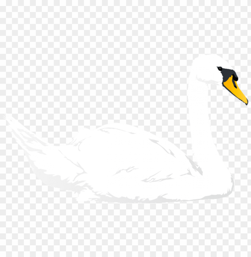 Detail Transparent Swan Nomer 33