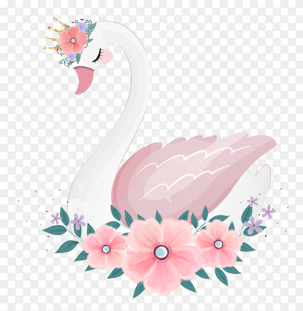 Detail Transparent Swan Nomer 49