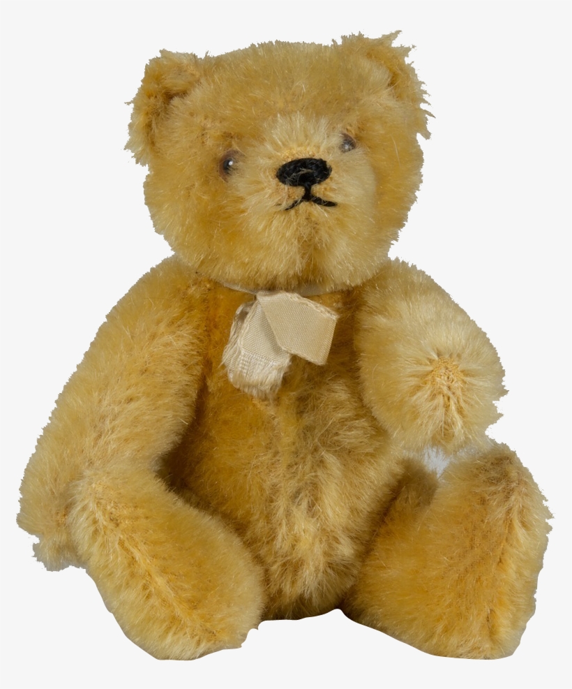 Detail Transparent Teddy Bear Nomer 3