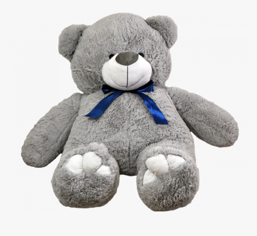 Detail Transparent Teddy Bear Nomer 37