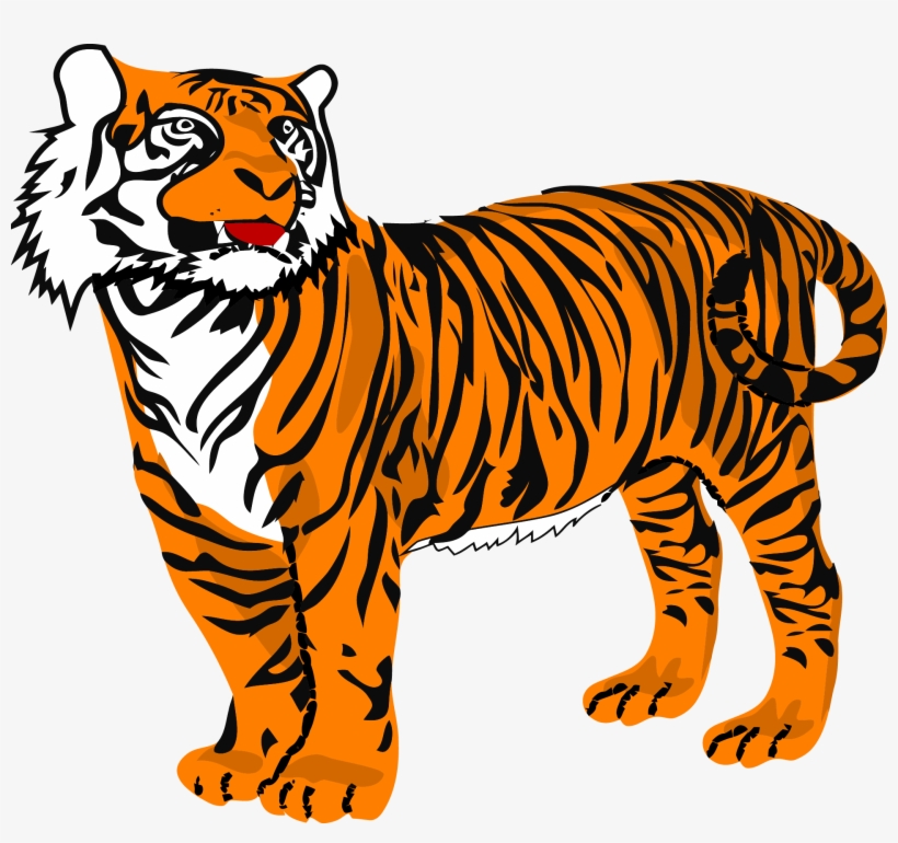 Detail Transparent Tiger Nomer 44