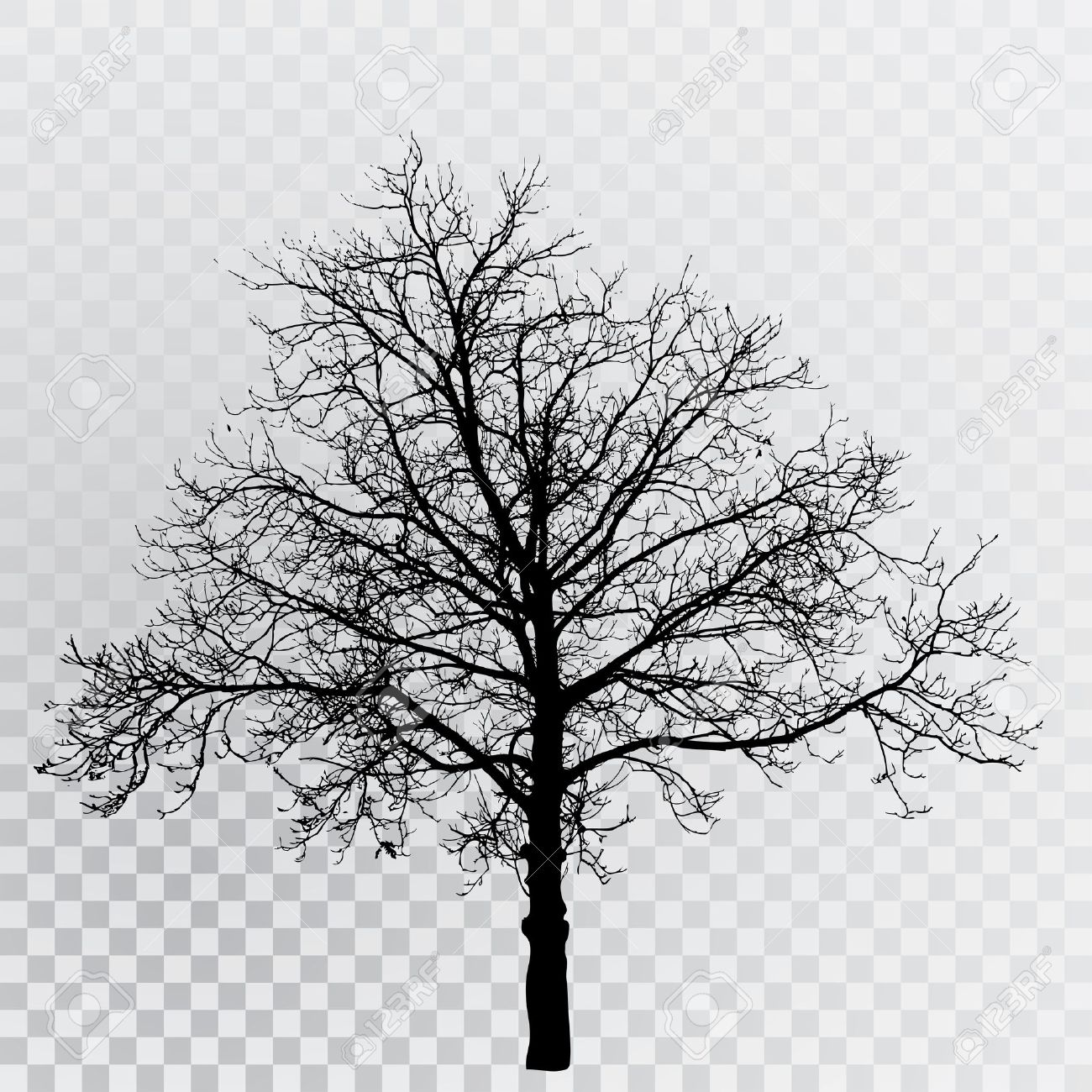 Detail Transparent Tree Image Nomer 46