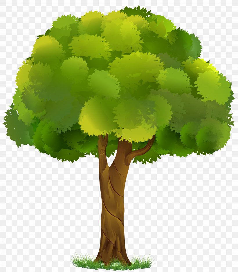Detail Transparent Tree Image Nomer 4