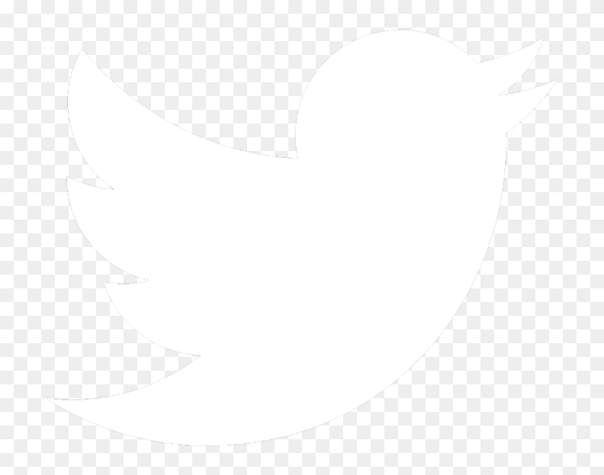 Detail Transparent Twitter Logo Nomer 43