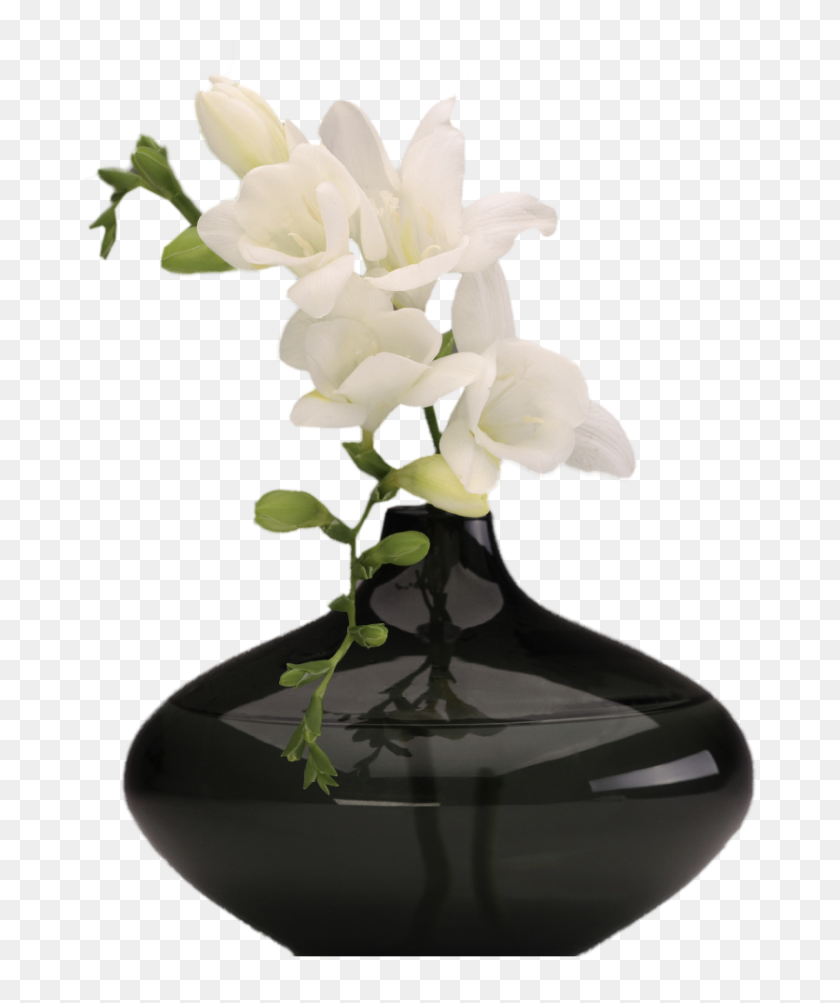 Detail Transparent Vase Png Nomer 33