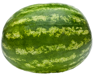 Detail Transparent Watermelon Nomer 7