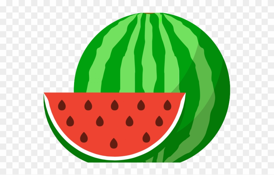 Detail Transparent Watermelon Nomer 44