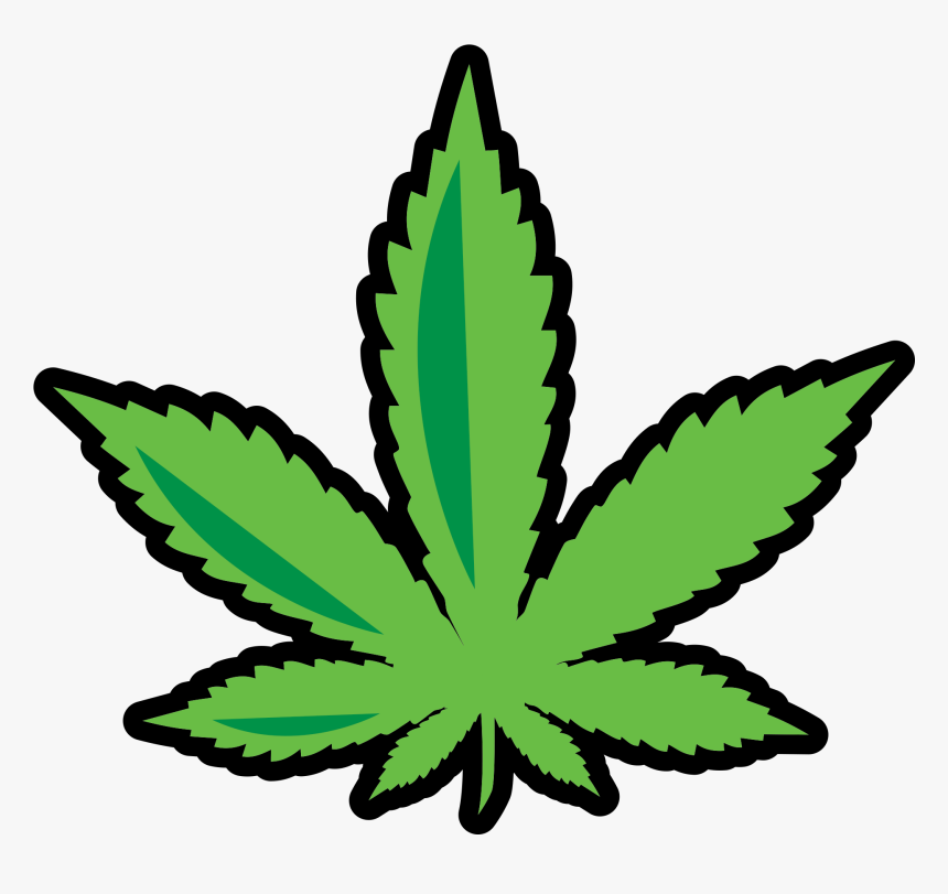 Detail Transparent Weed Nomer 11