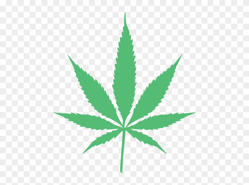 Detail Transparent Weed Nomer 12