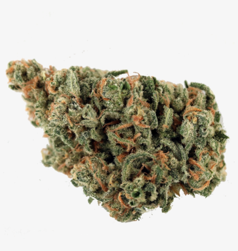Detail Transparent Weed Nomer 24