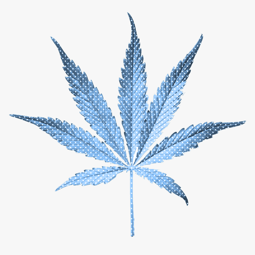 Detail Transparent Weed Nomer 26
