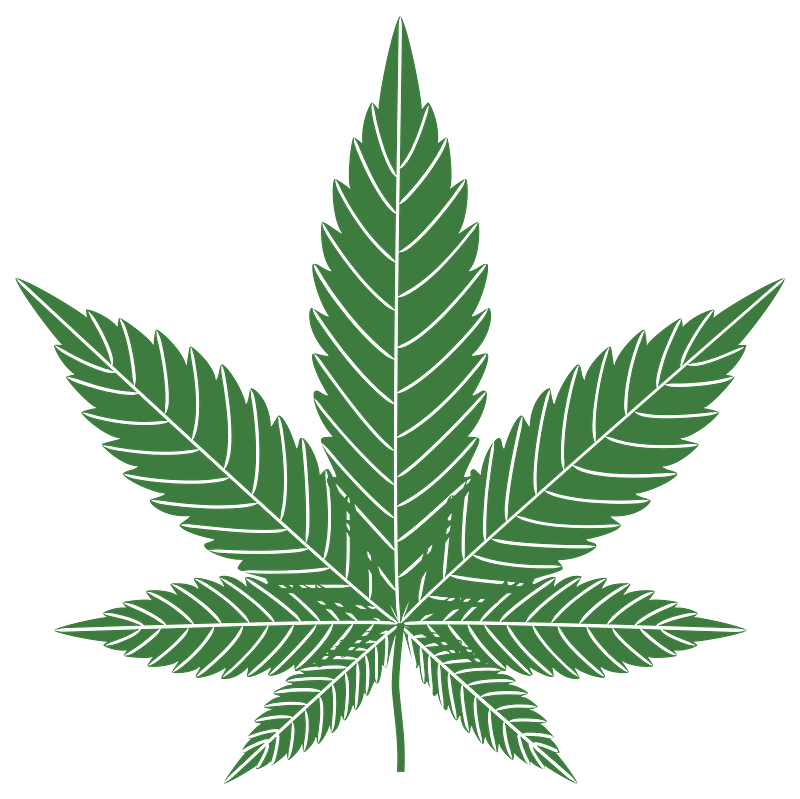 Detail Transparent Weed Nomer 27