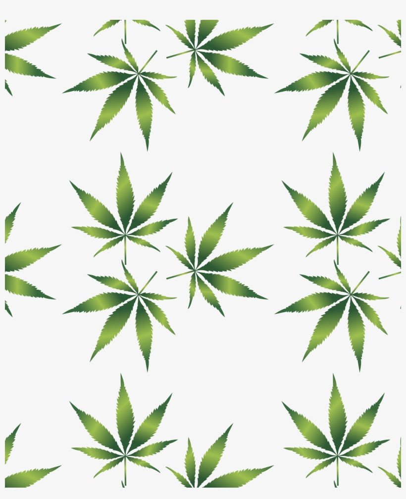 Detail Transparent Weed Nomer 30