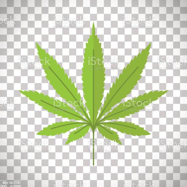 Detail Transparent Weed Nomer 34