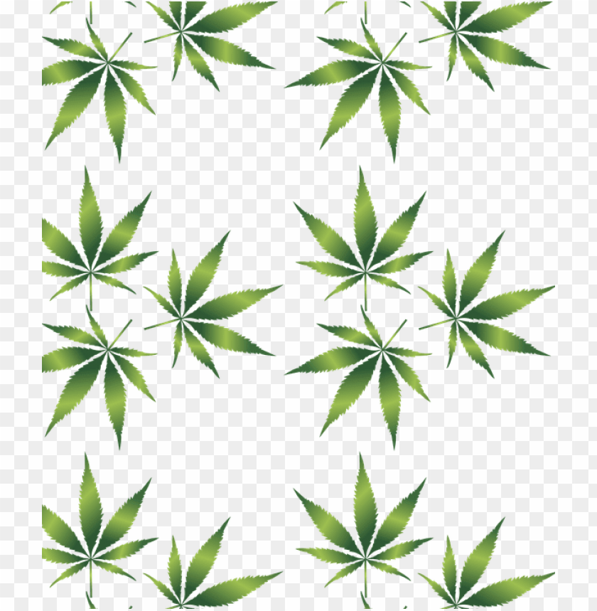 Detail Transparent Weed Nomer 35