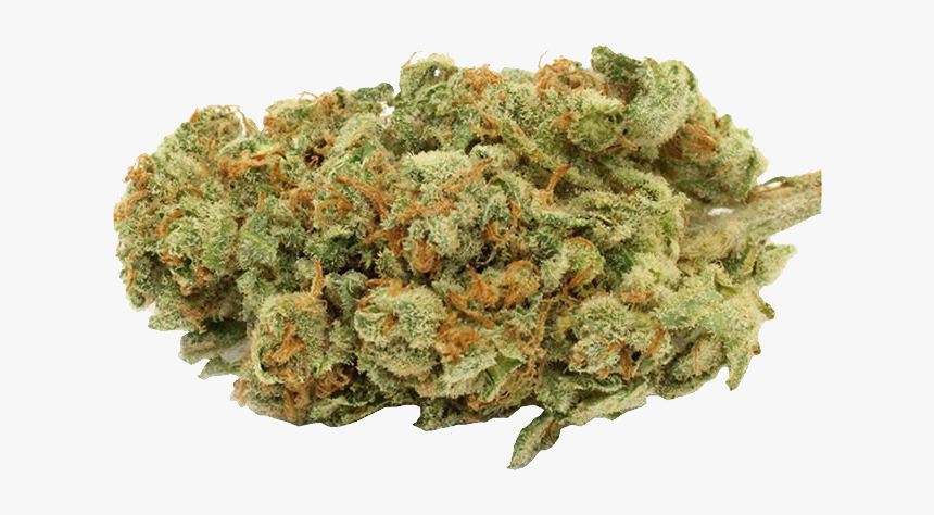 Detail Transparent Weed Nomer 36