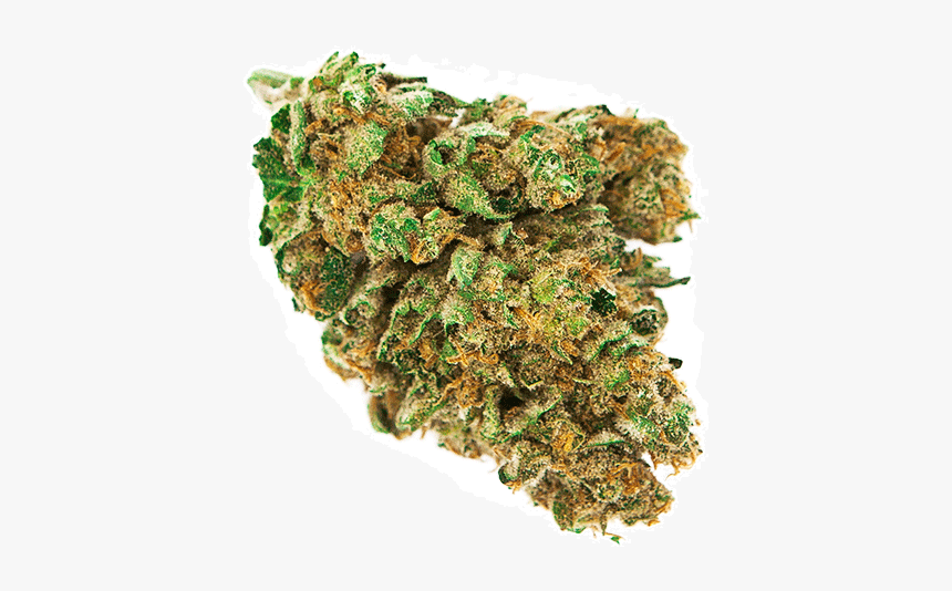 Detail Transparent Weed Nomer 41