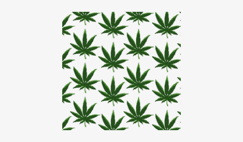 Detail Transparent Weed Nomer 42