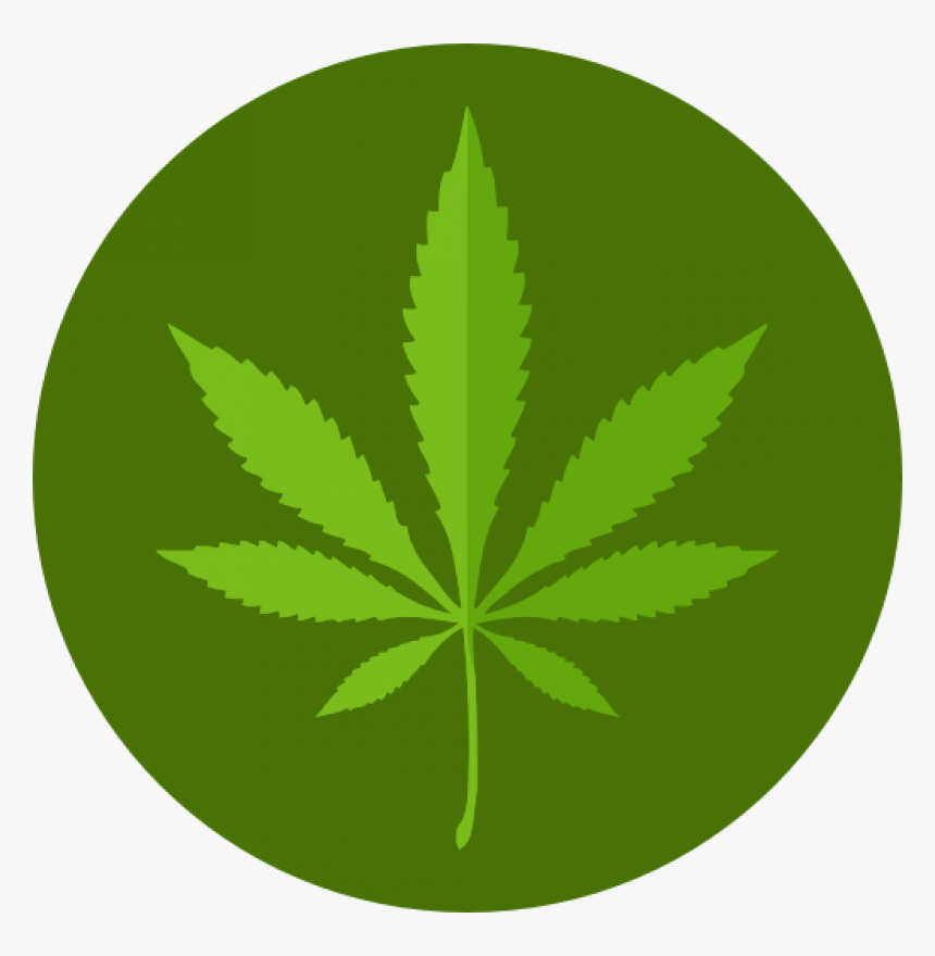 Detail Transparent Weed Nomer 43