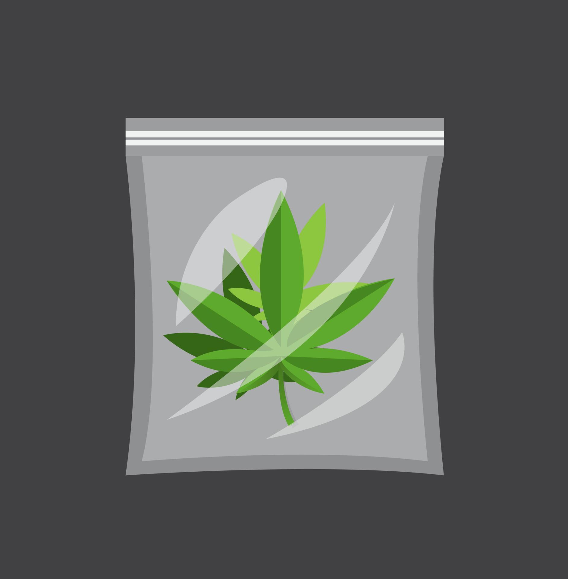 Detail Transparent Weed Nomer 46